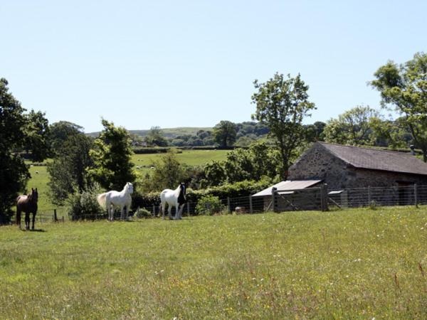 The Shippon Vila Conwy Exterior foto